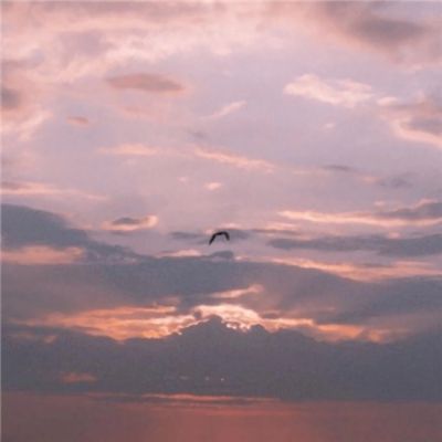 乐鱼app手机app下载